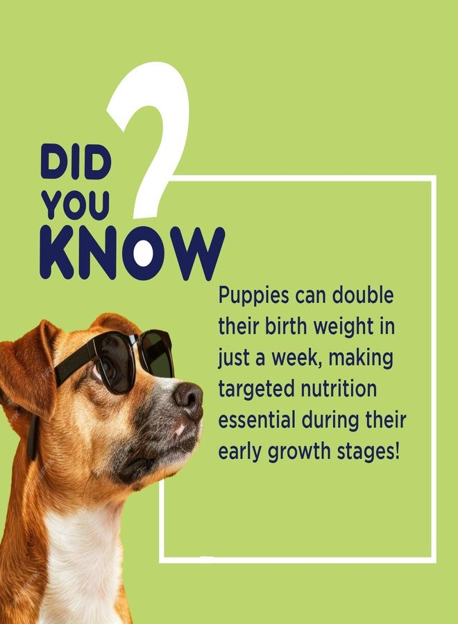 Pil Smart Pet Syrup for Dogs & Cats | Multivitamin Syrup for Healthy Skin, Stronger Bones & Faster Growth | Nutritional Supplement with Vitamins & Minerals That Supports metabolic processes (200ml) - Image 2